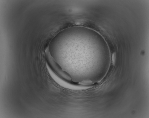 X0000094801443200711241414
