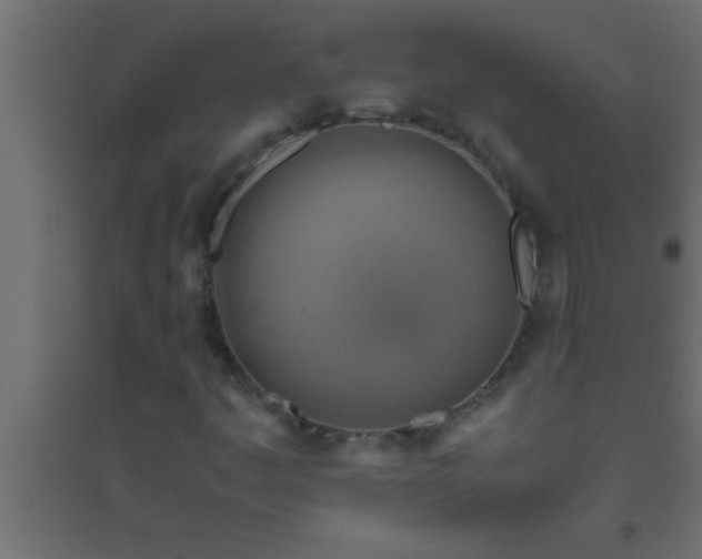 X0000094801445200711241414