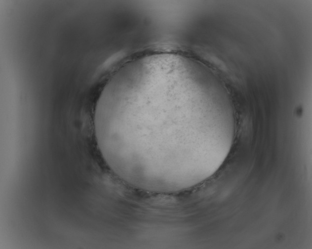 X0000094801446200711241414