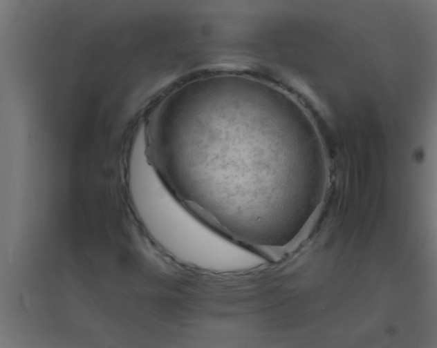 X0000094801448200711241414