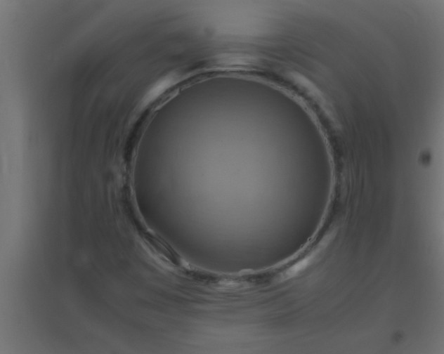 X0000094801449200711241413
