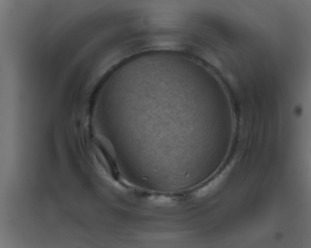 X0000094801450200711241413