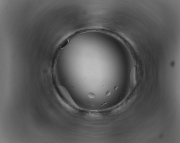 X0000094801452200711241413
