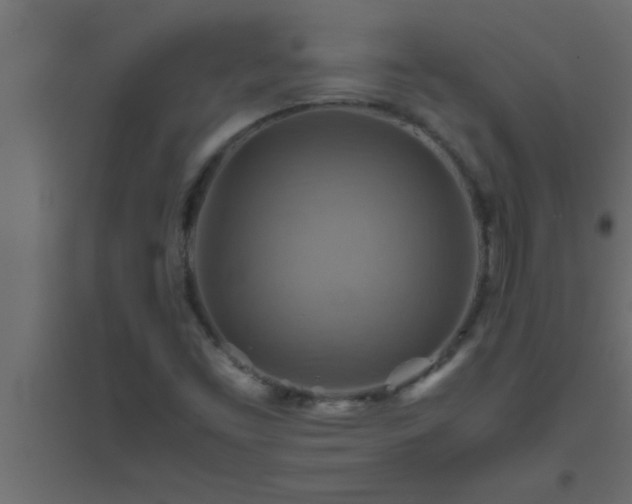 X0000094801453200711241413