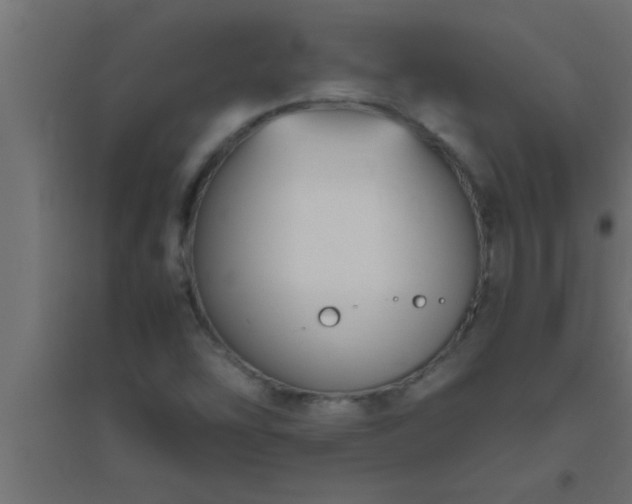 X0000094801454200711241413