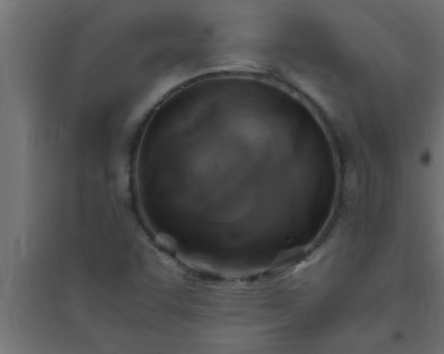 X0000094801455200711241413