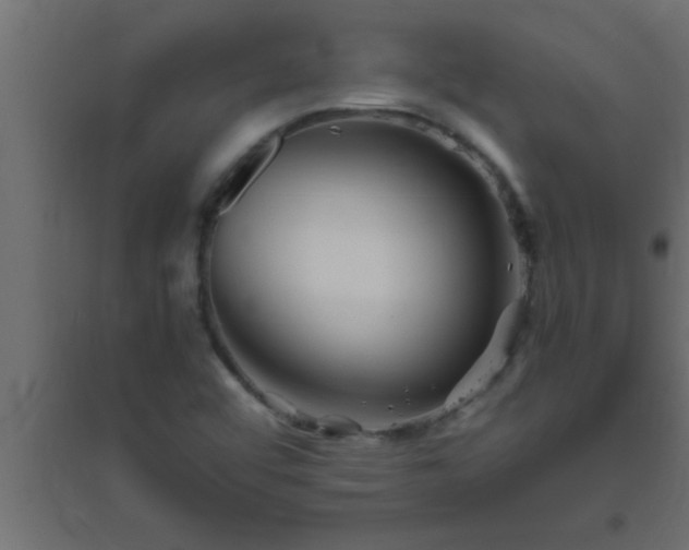 X0000094801456200711241413
