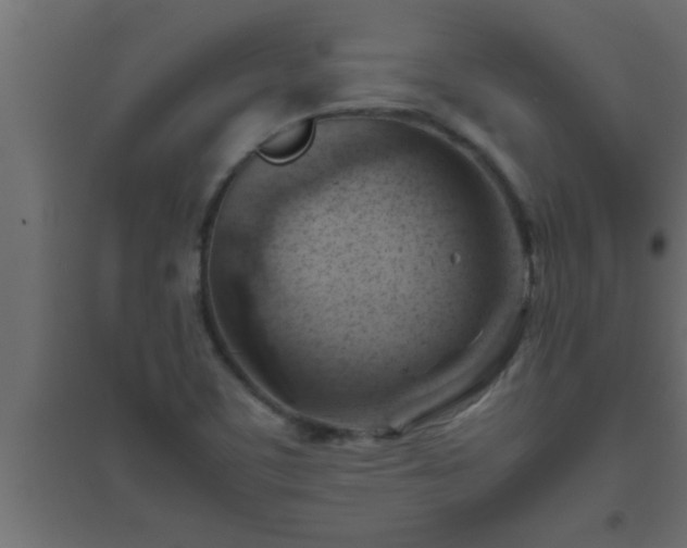 X0000094801459200711241413