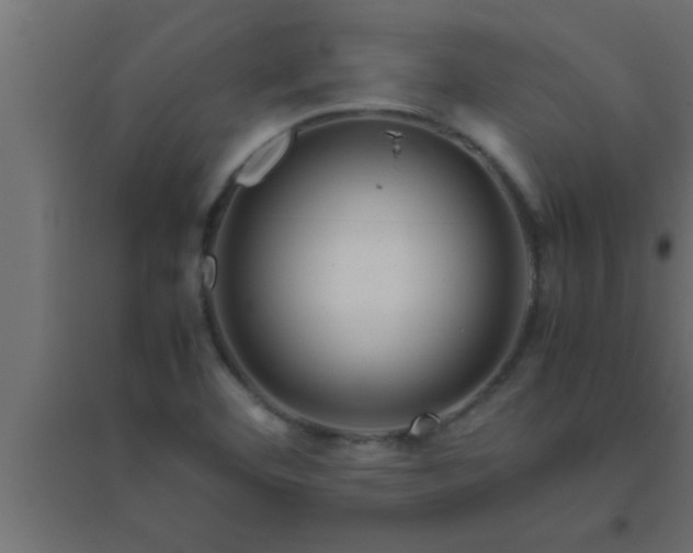 X0000094801460200711241413