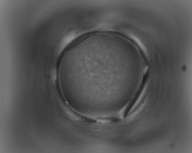 X0000094801461200711241413