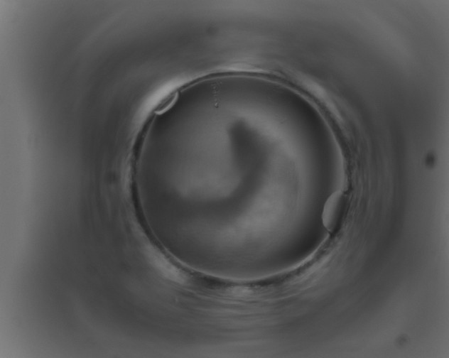 X0000094801463200711241413