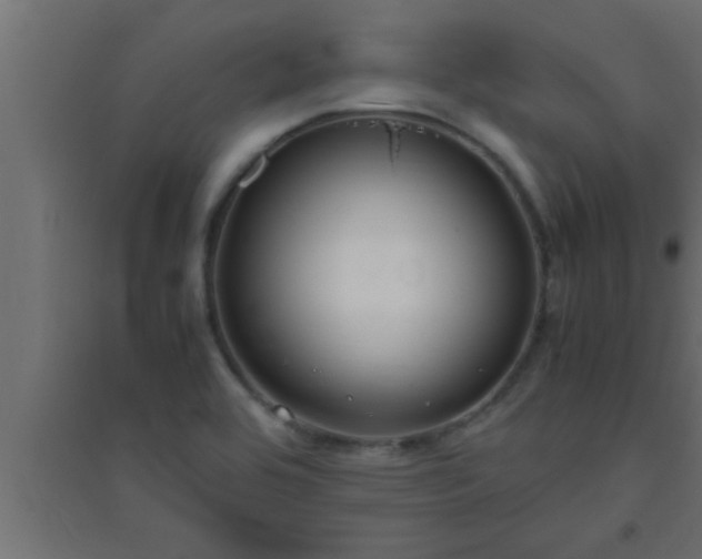 X0000094801464200711241413