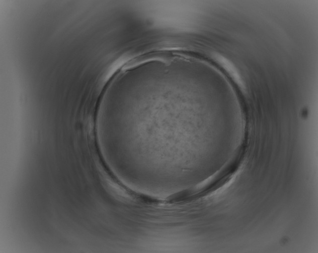 X0000094801465200711241413