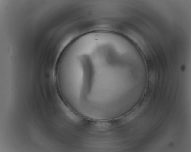 X0000094801466200711241413