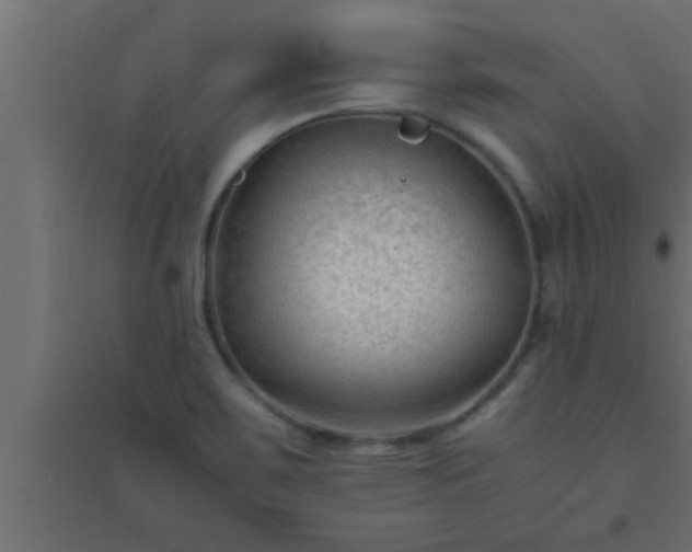 X0000094801467200711241413