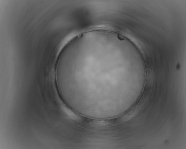 X0000094801474200711241413