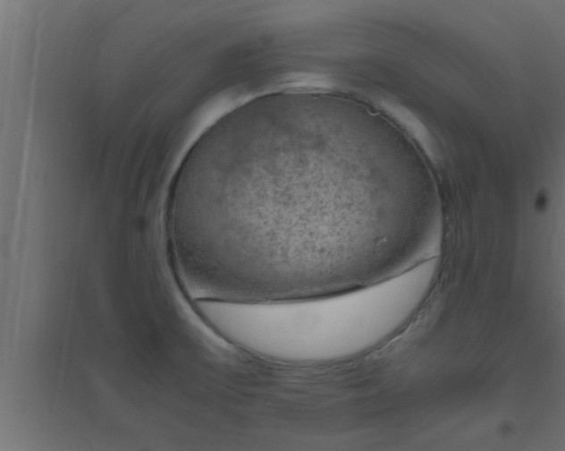 X0000094801475200711241413