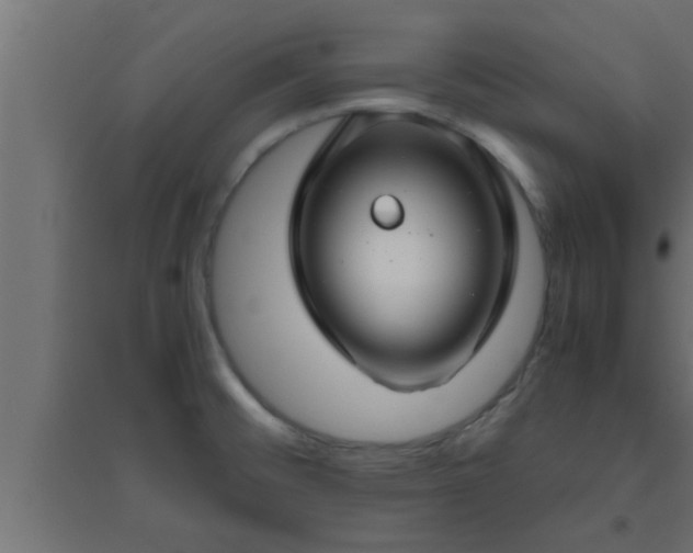 X0000094801476200711241413