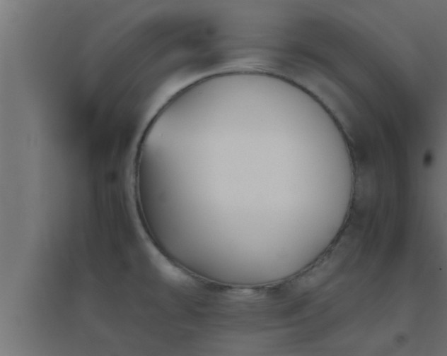 X0000094801478200711241413