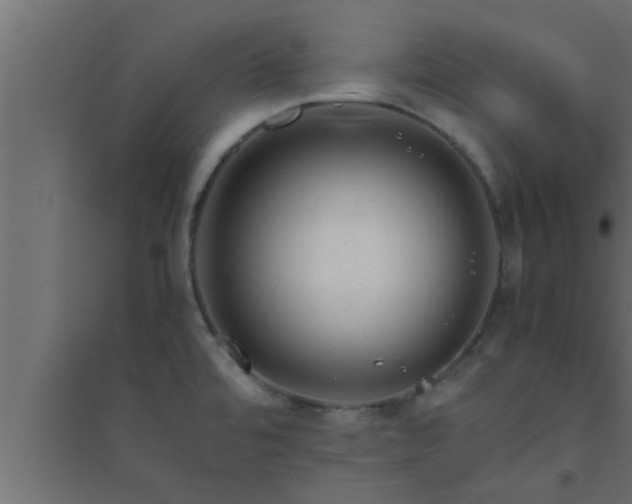 X0000094801480200711241413