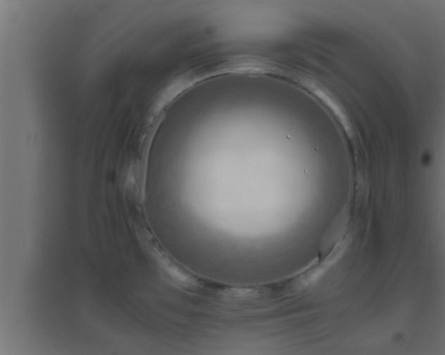 X0000094801481200711241413