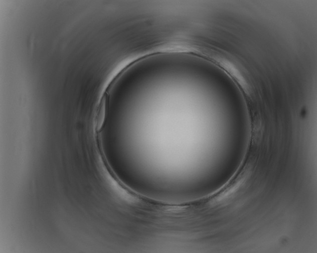 X0000094801484200711241413