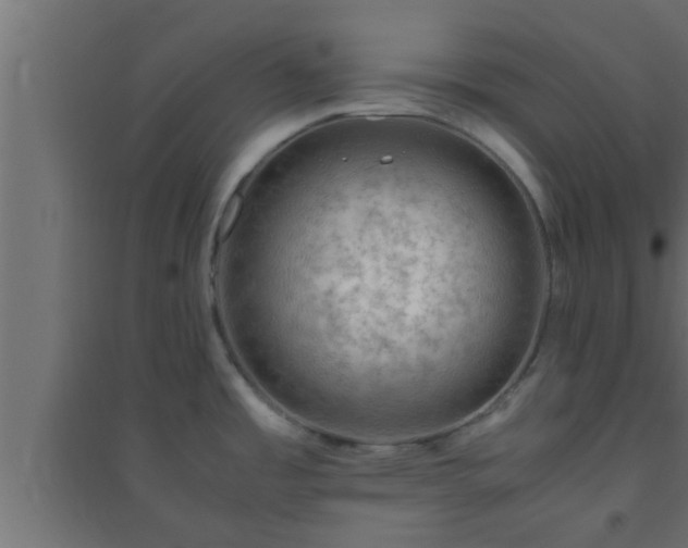 X0000094801485200711241413