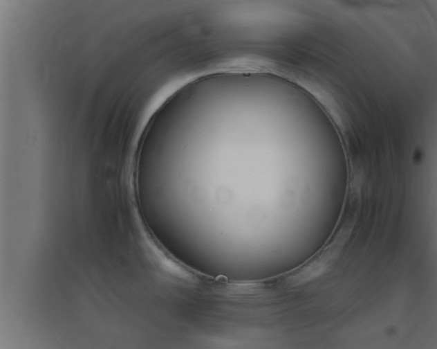 X0000094801486200711241413