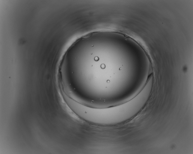 X0000094801488200711241413