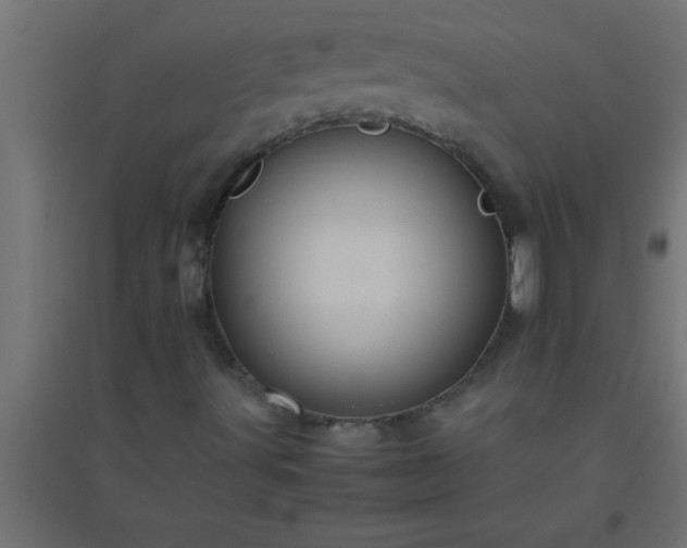 X0000094801491200711241412