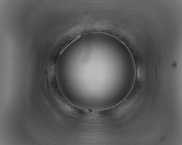 X0000094801492200711241412