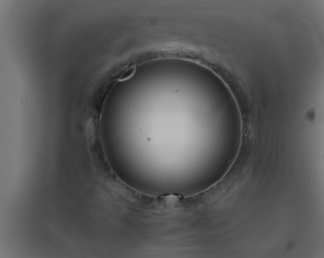 X0000094801493200711241412