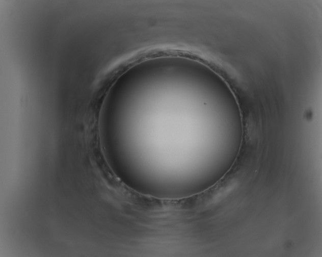 X0000094801494200711241412
