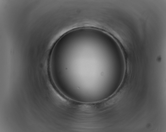 X0000094801500200711241412