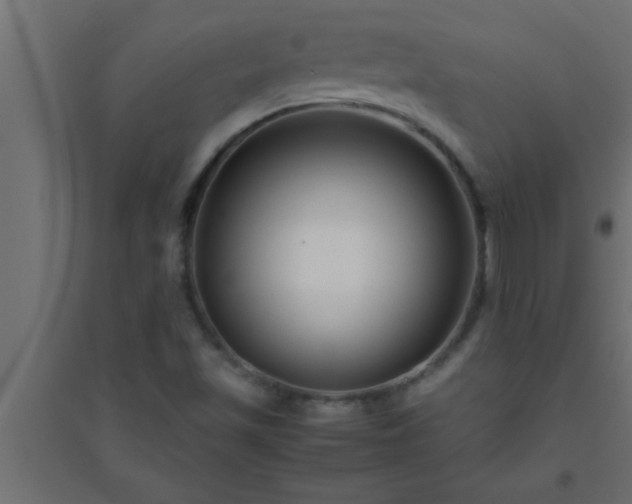 X0000094801501200711241412