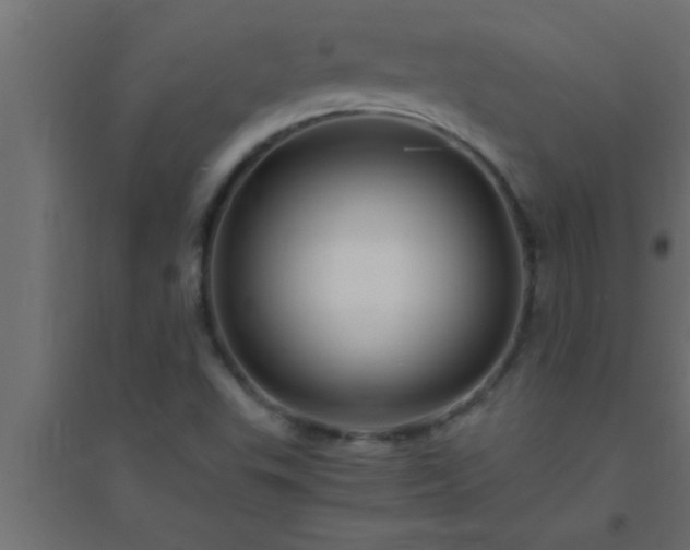 X0000094801503200711241412