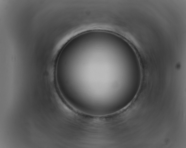 X0000094801504200711241413
