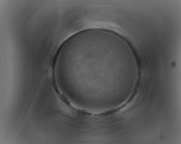 X0000094801505200711241413