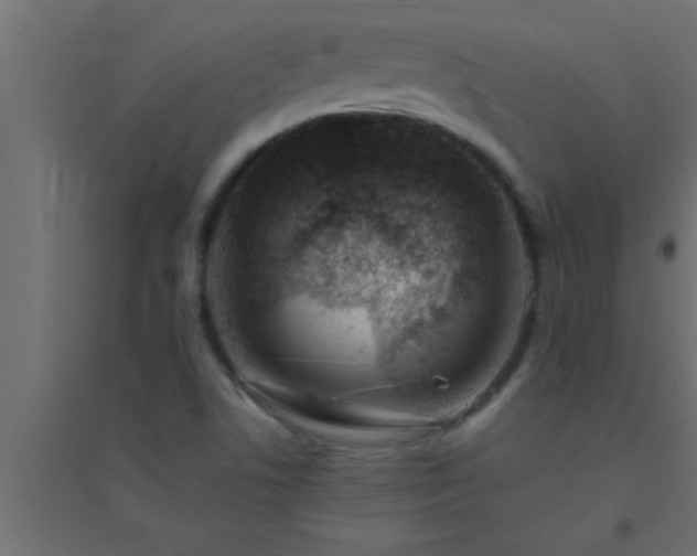 X0000094801506200711241413