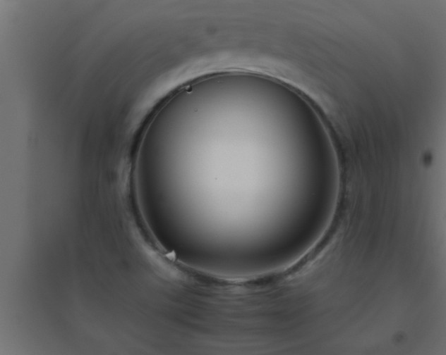 X0000094801507200711241413