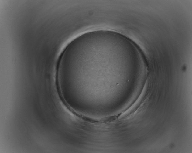 X0000094801508200711241413