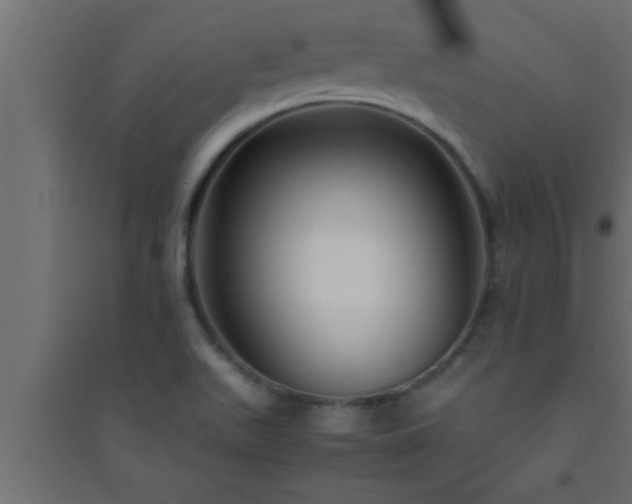 X0000094801511200711241413
