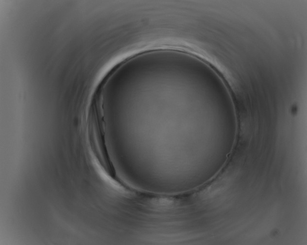 X0000094801515200711241413