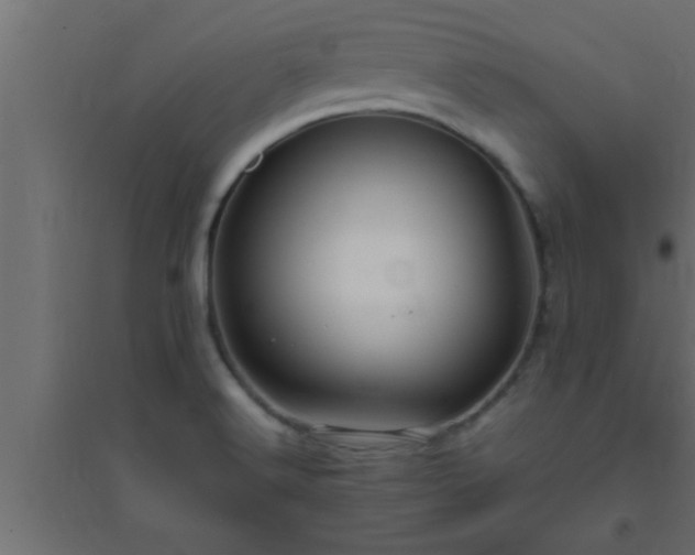 X0000094801516200711241413