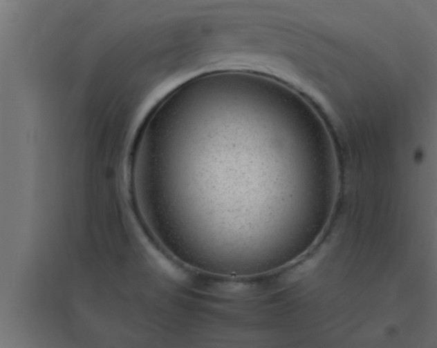 X0000094801517200711241413