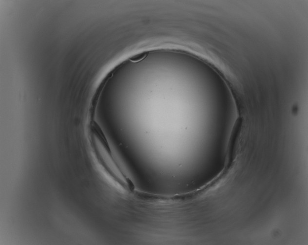X0000094801518200711241413