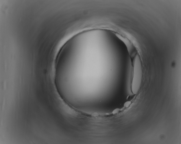 X0000094801520200711241413