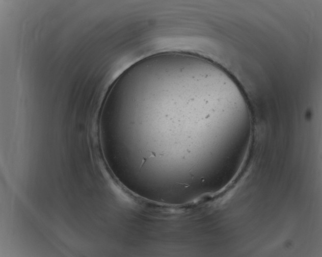X0000094801521200711241413