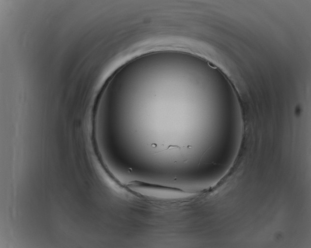 X0000094801523200711241413