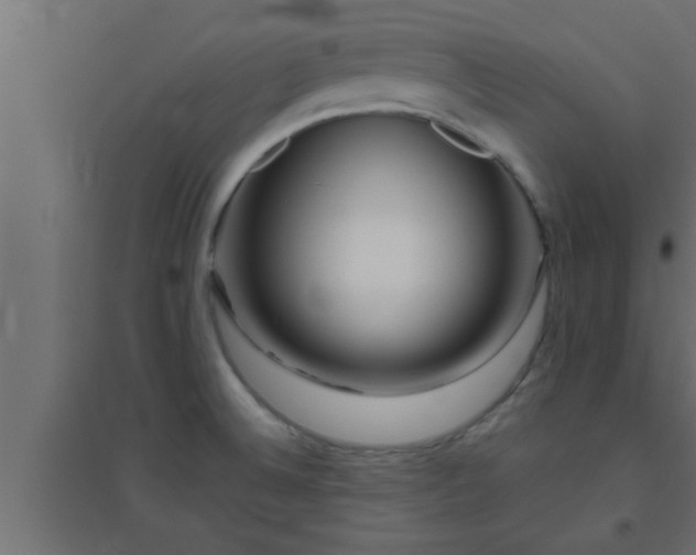 X0000094801524200711241413